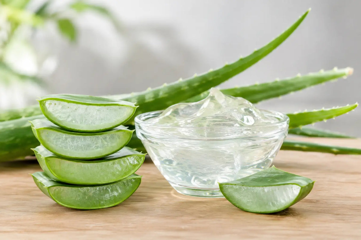 Aloe biologica: quando la purezza fa differenza