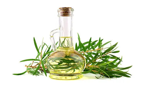 Olio di Jojoba